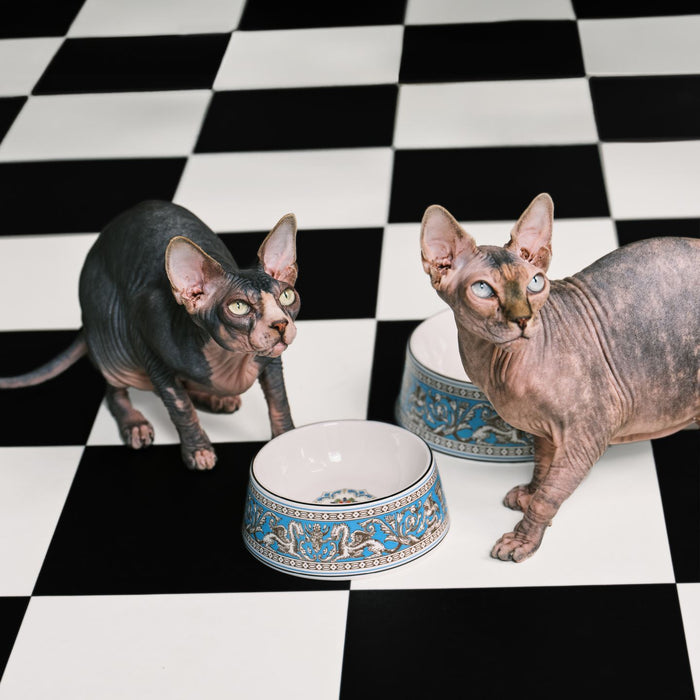 Florentine Turquoise Pet Bowl Small