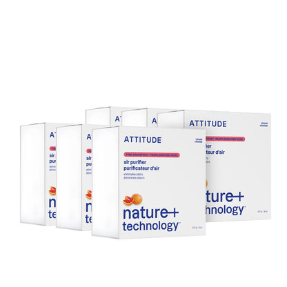 Air Purifier - Pack