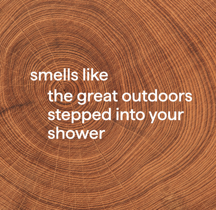 body wash 532ml - cedar + cypress