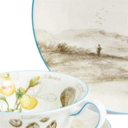Darwin Voyage of the Beagle Patagonia Teacup Saucer Plate, 3 Pieces