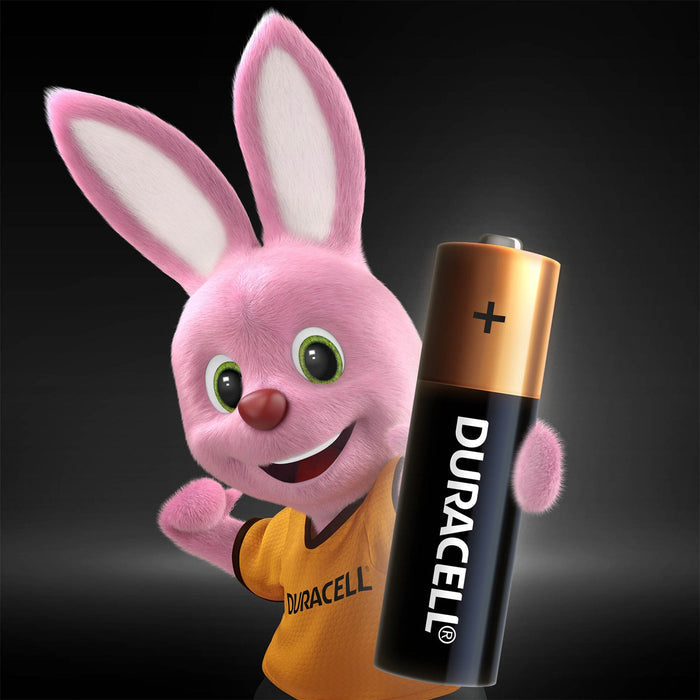 Duracell Alkaline AA Batteries, pack of 5