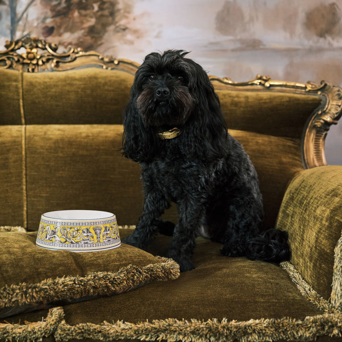 Florentine Citron Pet Bowl Large