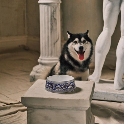Florentine Marine Pet Bowl Small