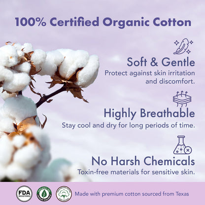Rael Organic Cotton Period Underwear (S-M) 5's