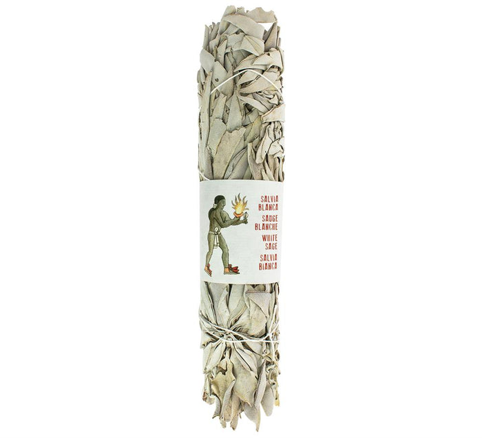 California White Sage Smudging Bundle 22-25 cm