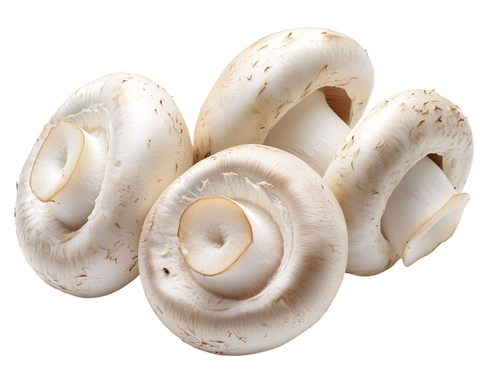White Mushroom 1kg